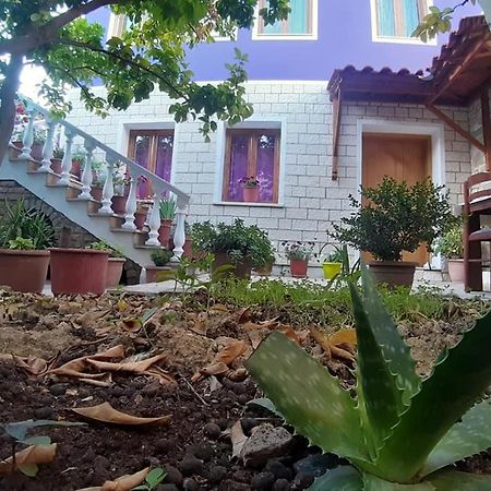 Guesthouse Hlias Gloria เบราท ภายนอก รูปภาพ