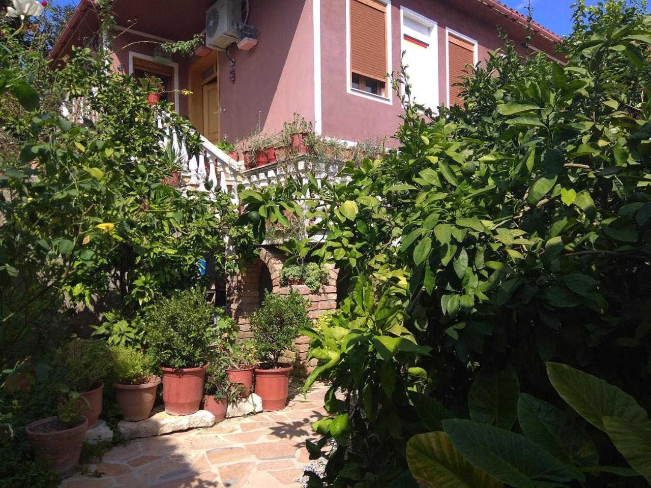 Guesthouse Hlias Gloria เบราท ภายนอก รูปภาพ